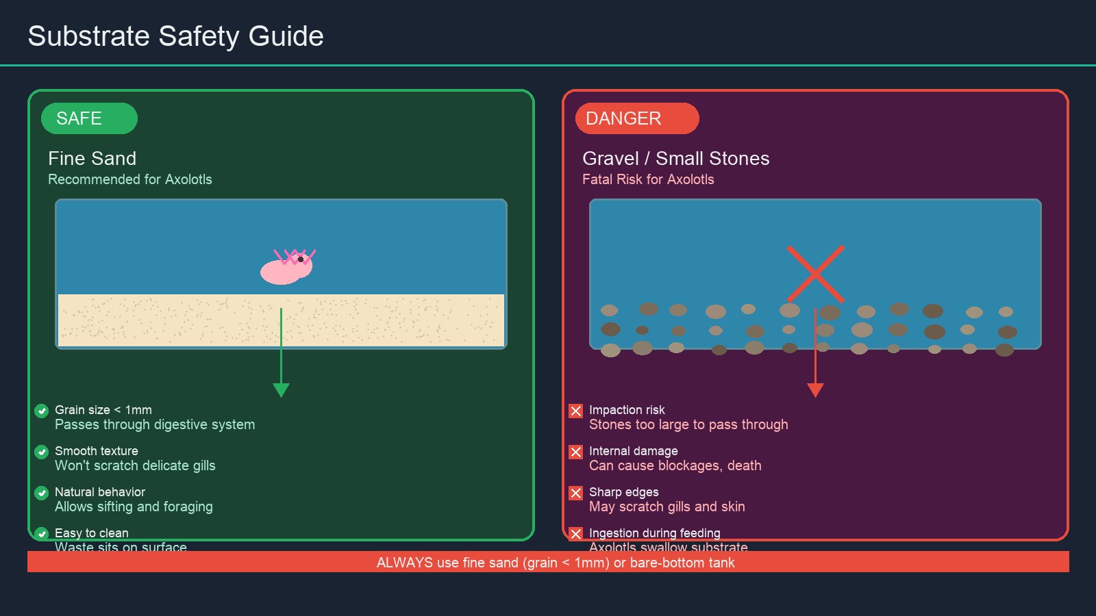 Safe vs unsafe substrate for axolotls