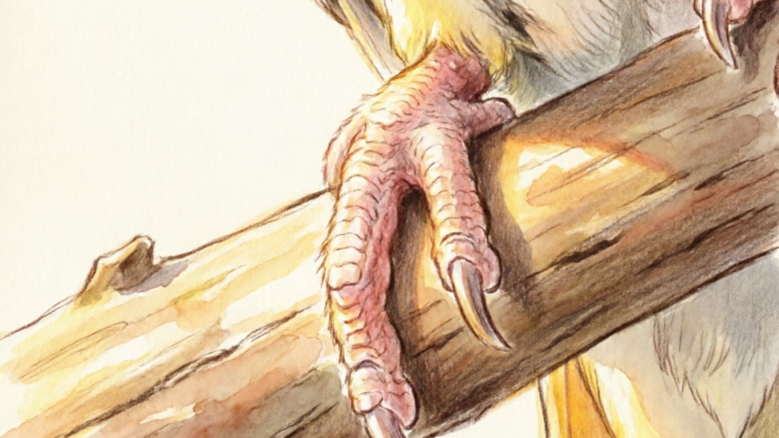 Cockatiel gripping bars with correct spacing