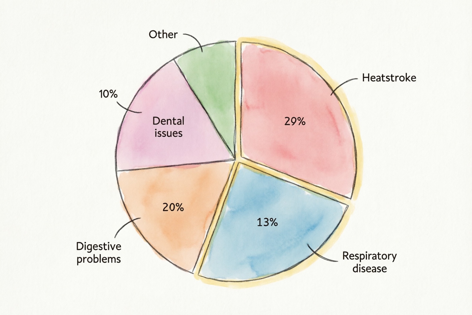 Chinchilla common causes of death chart