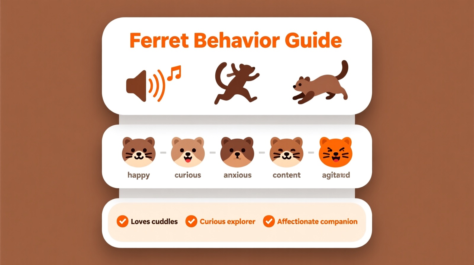 Ferret Behavior Guide: Sounds, Body Language & Meanings