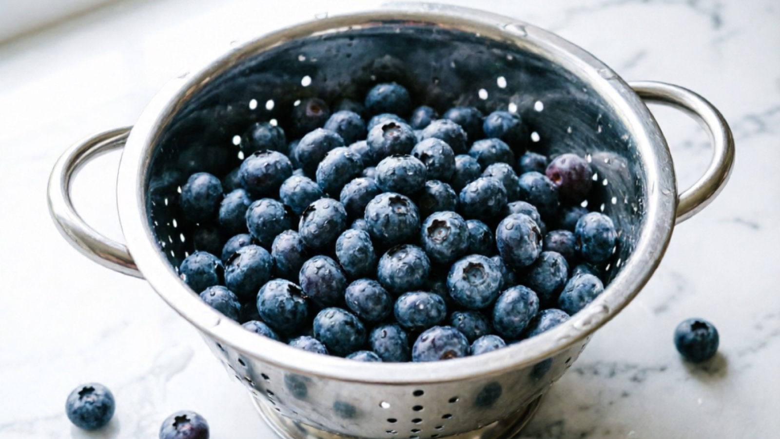 Fresh blueberries washed and ready for guinea pig serving Fresh blueberries for guinea pigs
