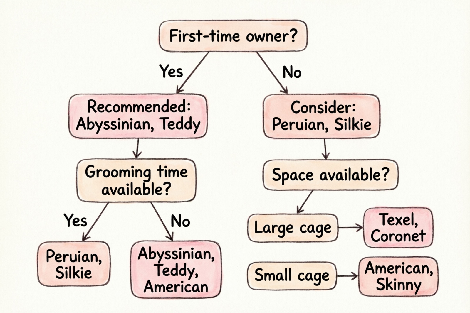 Guinea pig breed selection guide