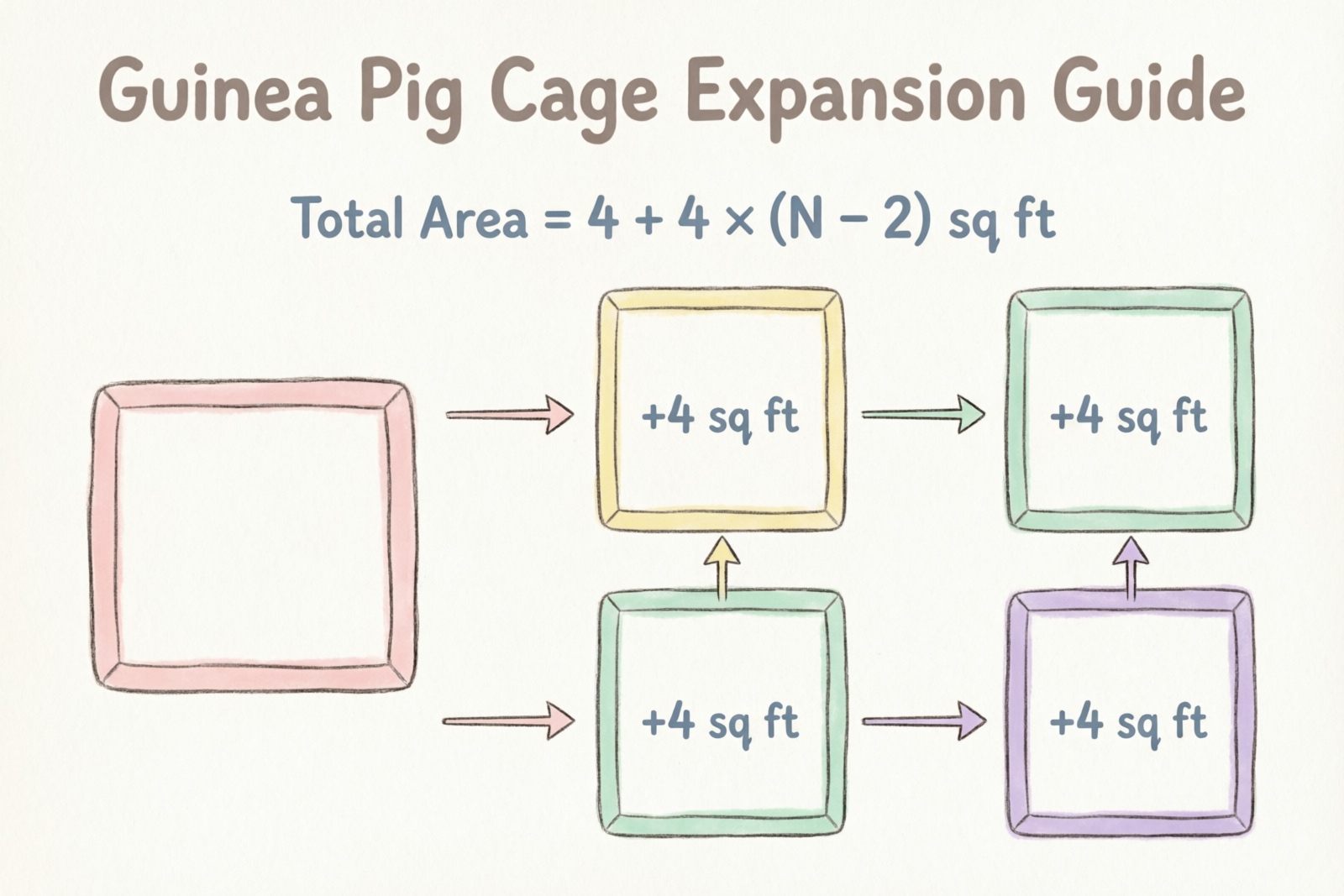 Guinea pig multi-pig cage expansion guide