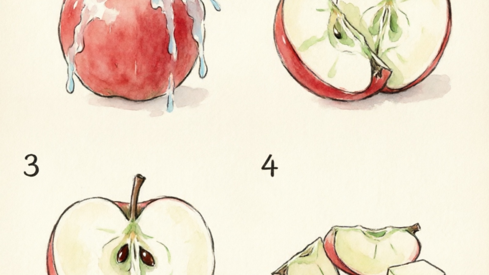 Step-by-step apple preparation for hamsters — washing, coring, removing seeds, and cutting into breed-appropriate sizes