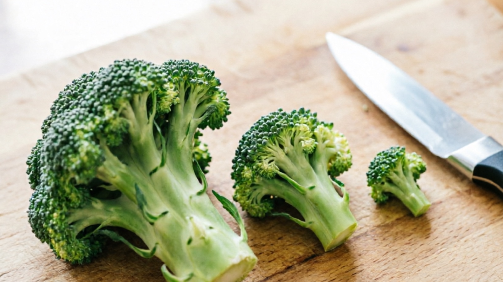 Raw broccoli floret pieces in different sizes laid out for hamster breed comparison