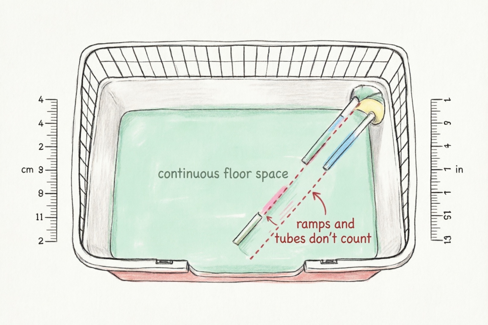 Cage floor space measurement diagram showing continuous unbroken floor area