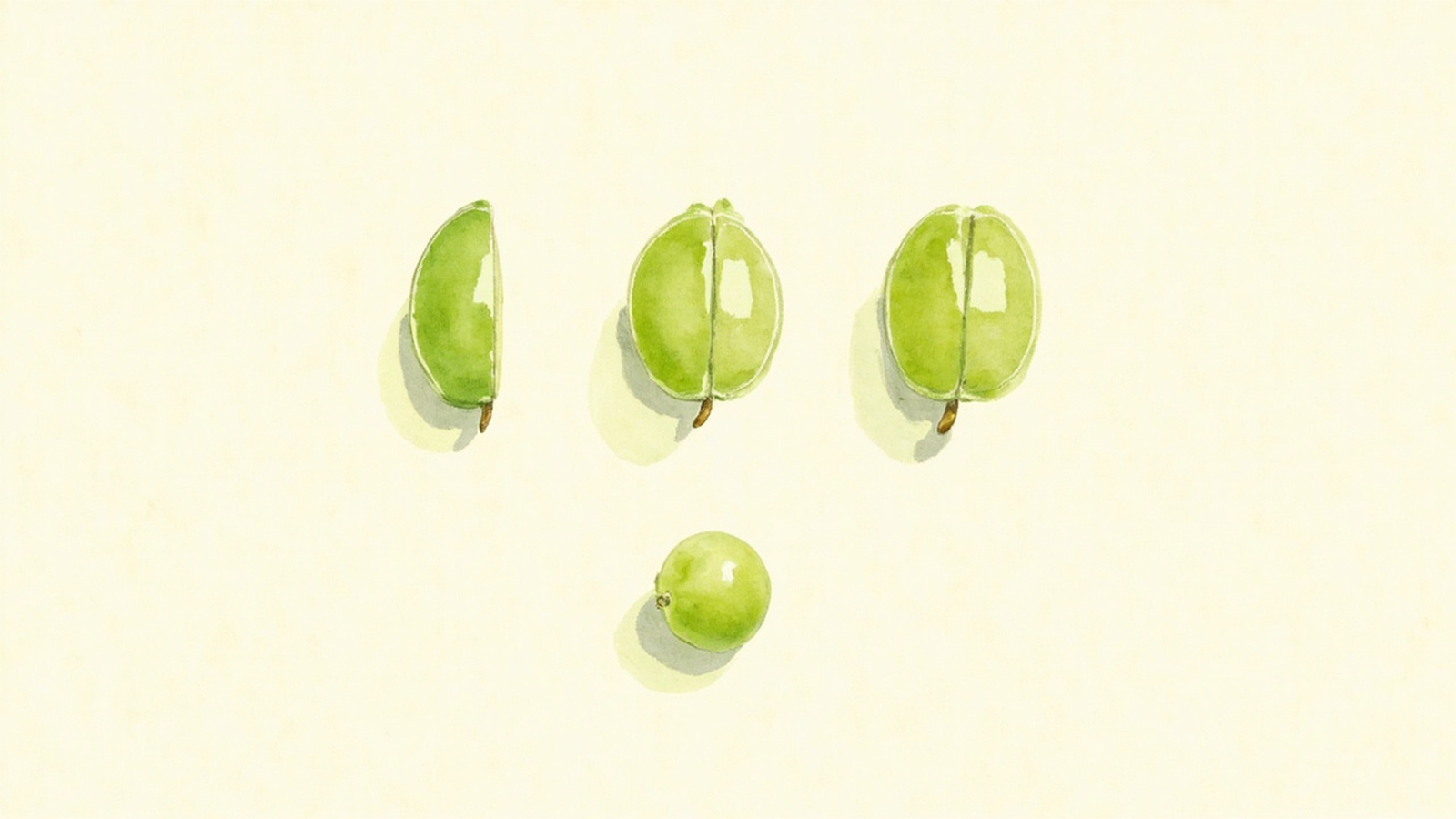 A small hamster sniffing a single seedless grape cut into quarters on a clean cutting board