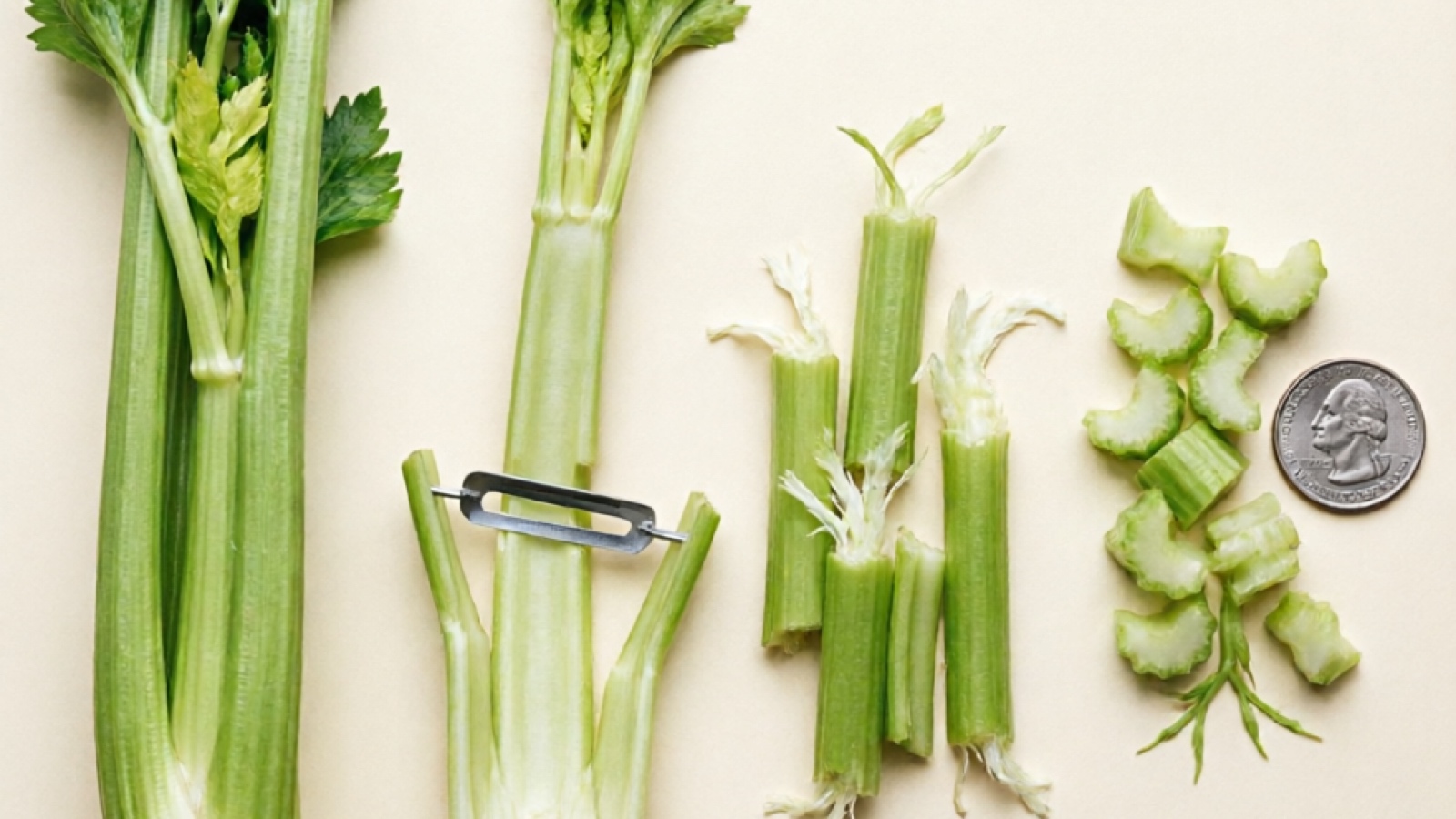 Step-by-step celery preparation for hamsters — whole stalk, peeled stalk, cut pieces with strings visible, and final bite-sized pieces ready to serve