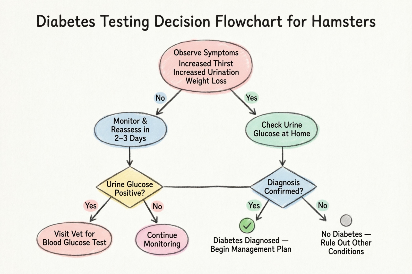 Diabetes testing decision flowchart for hamsters