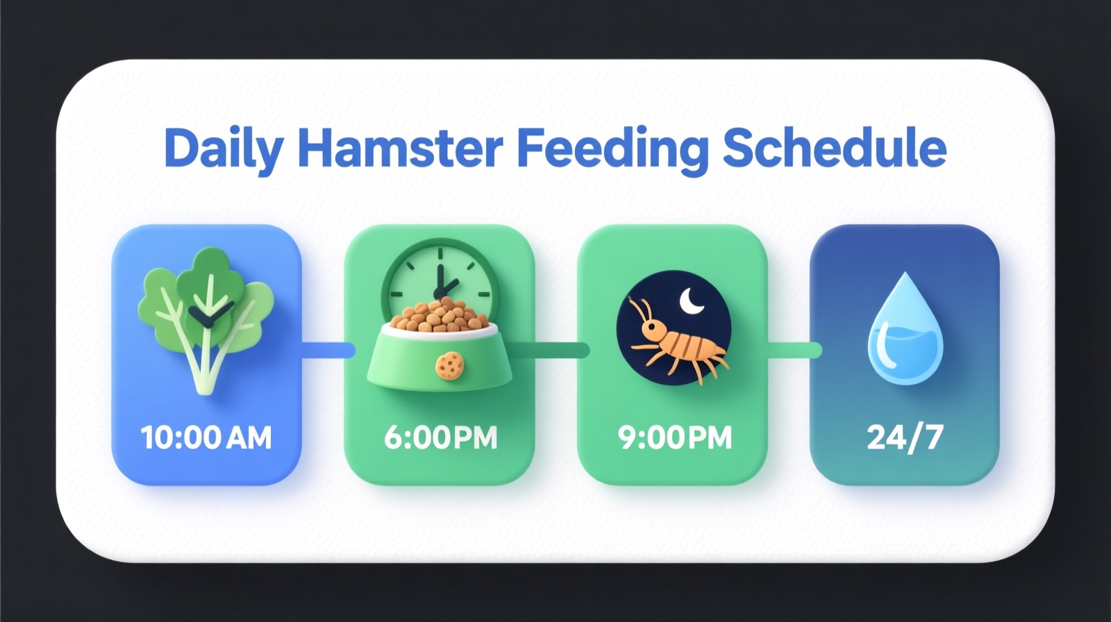 Hamster daily feeding schedule infographic