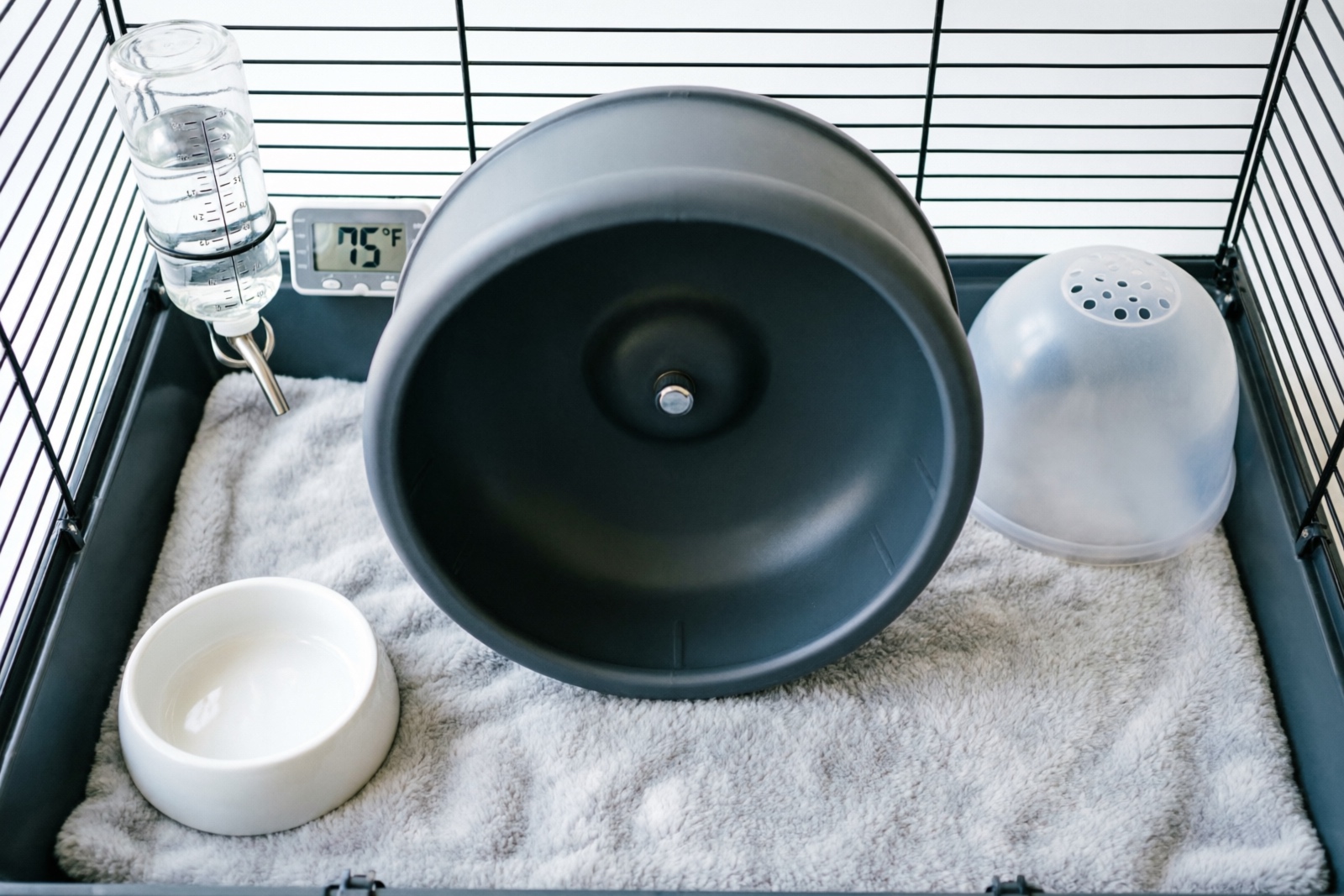 Complete hedgehog cage setup with wheel, hide box, food dish, and proper bedding arrangement