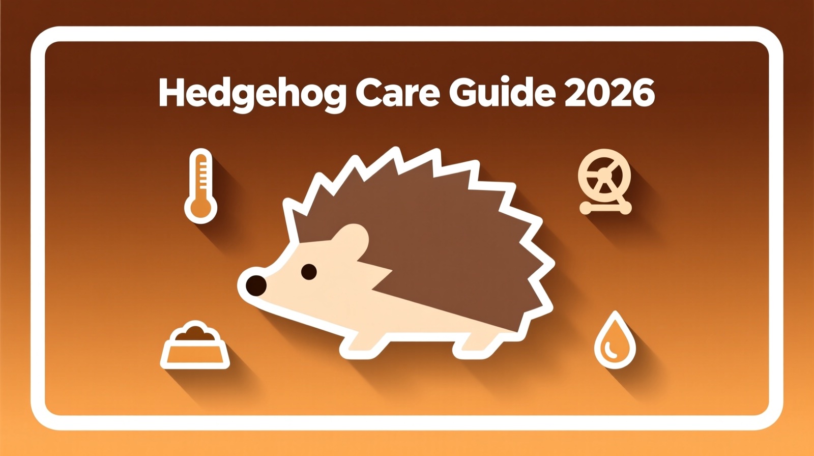 Hedgehog Care Guide: Diet, Cage, Temperature & Health