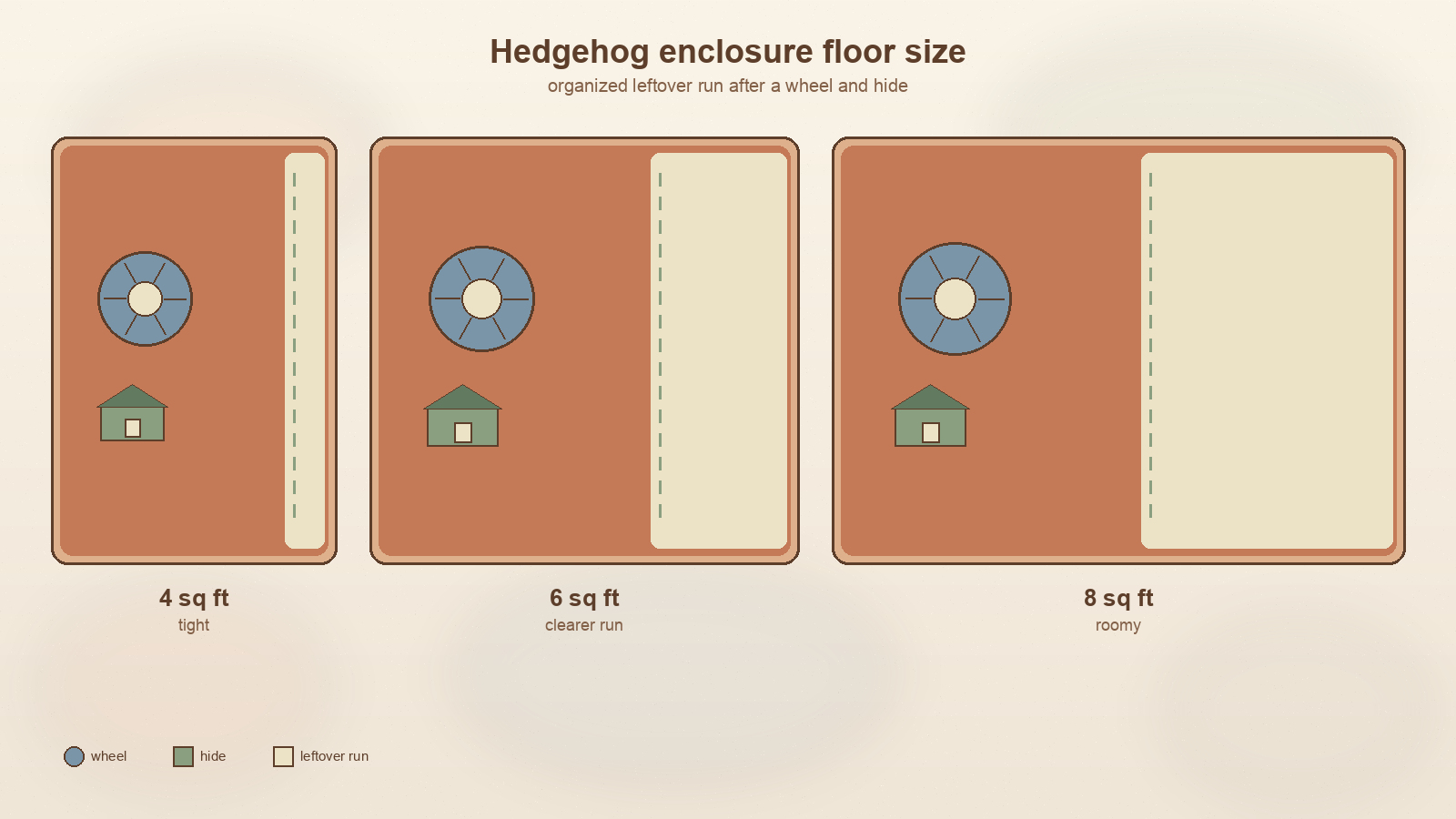 4 vs 6 vs 8 square-foot best hedgehog enclosure floor footprints with a wheel and hide