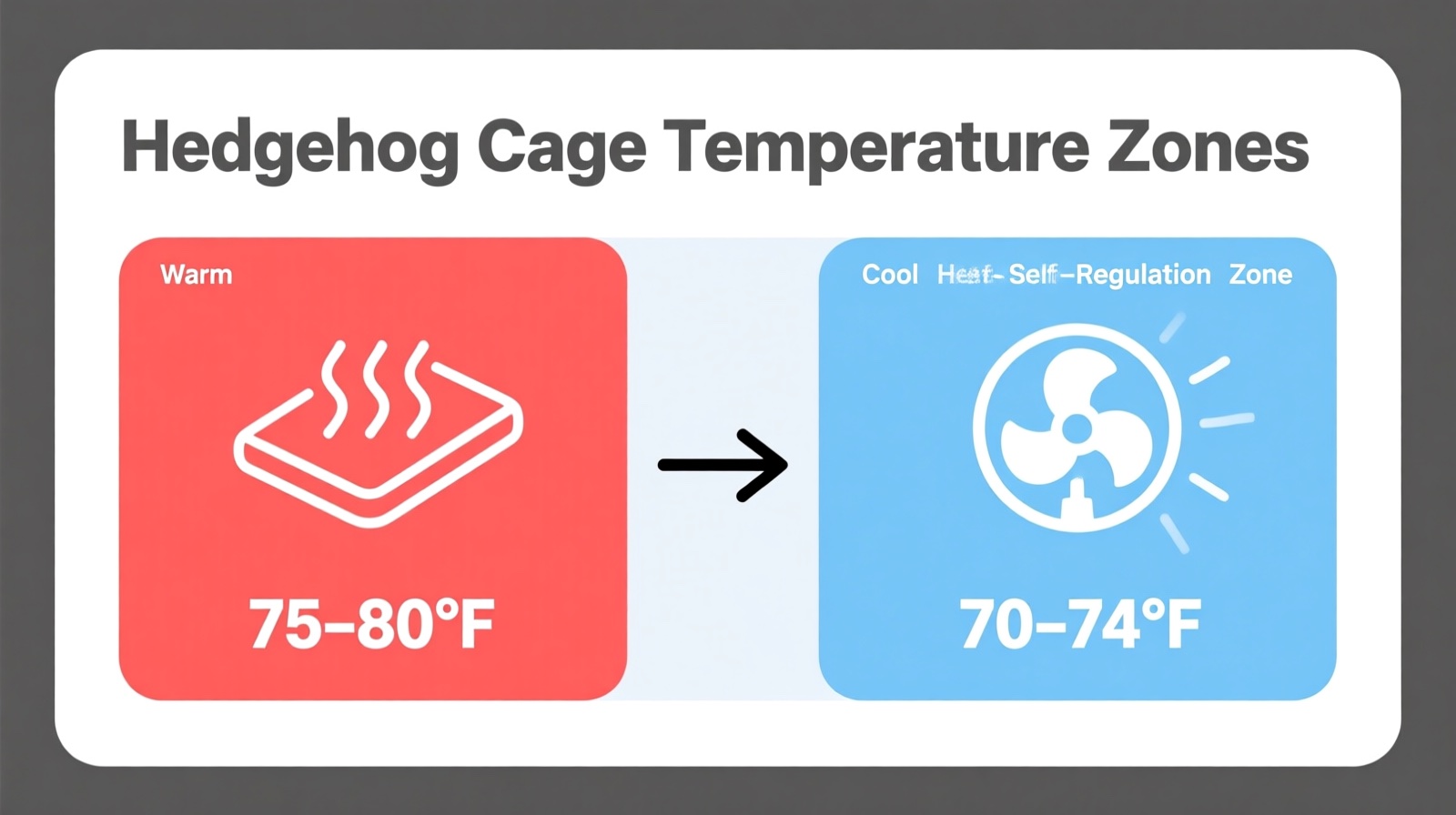 Hedgehog cage temperature zones diagram