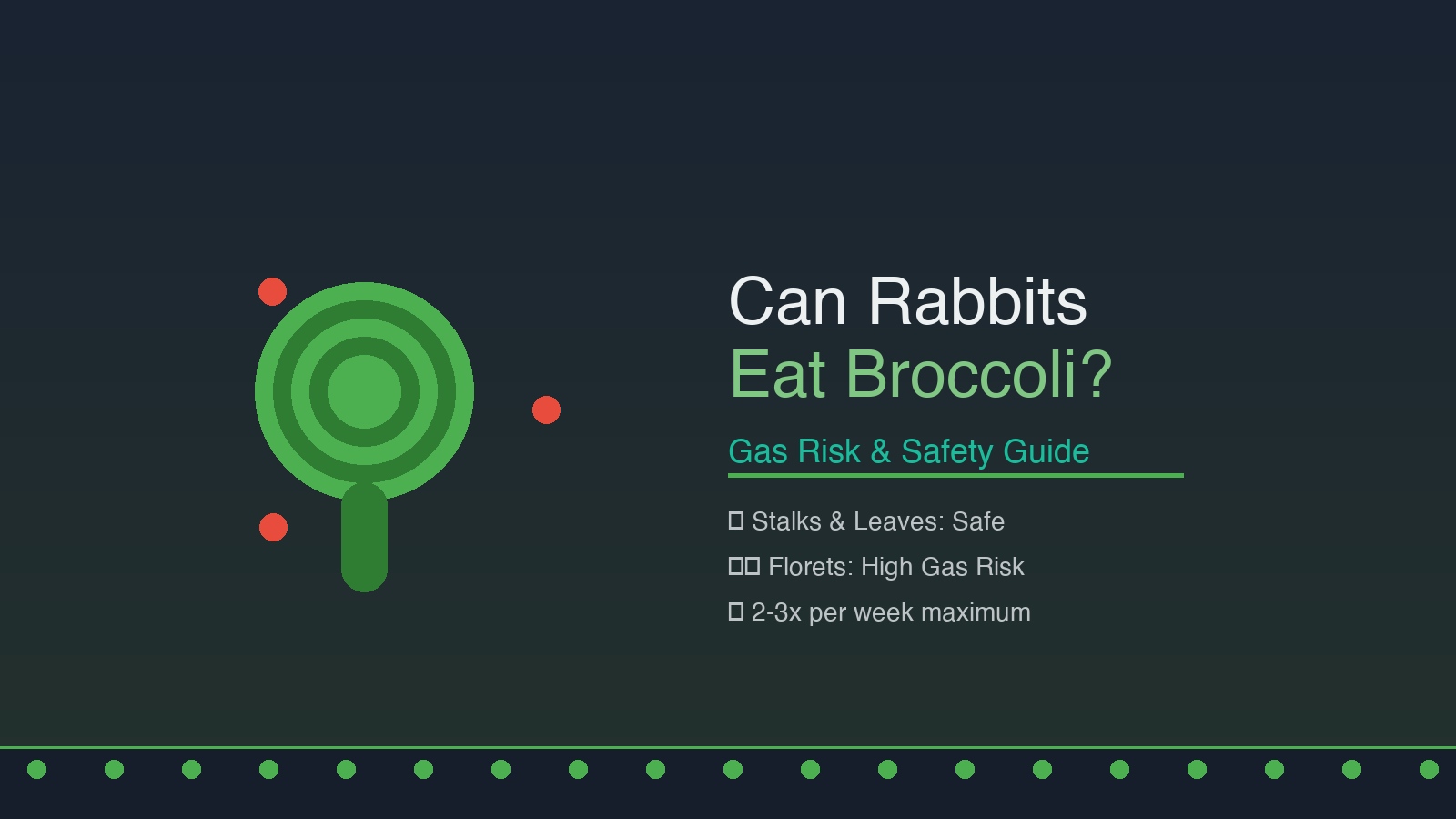 Can Rabbits Eat Broccoli? (Gas Risk & Safety)