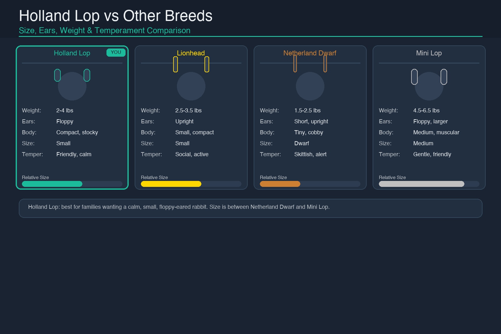 Holland Lop vs Lionhead vs Netherland Dwarf vs Mini Lop breed comparison: weight, ear type, body size, temperament, and relative size