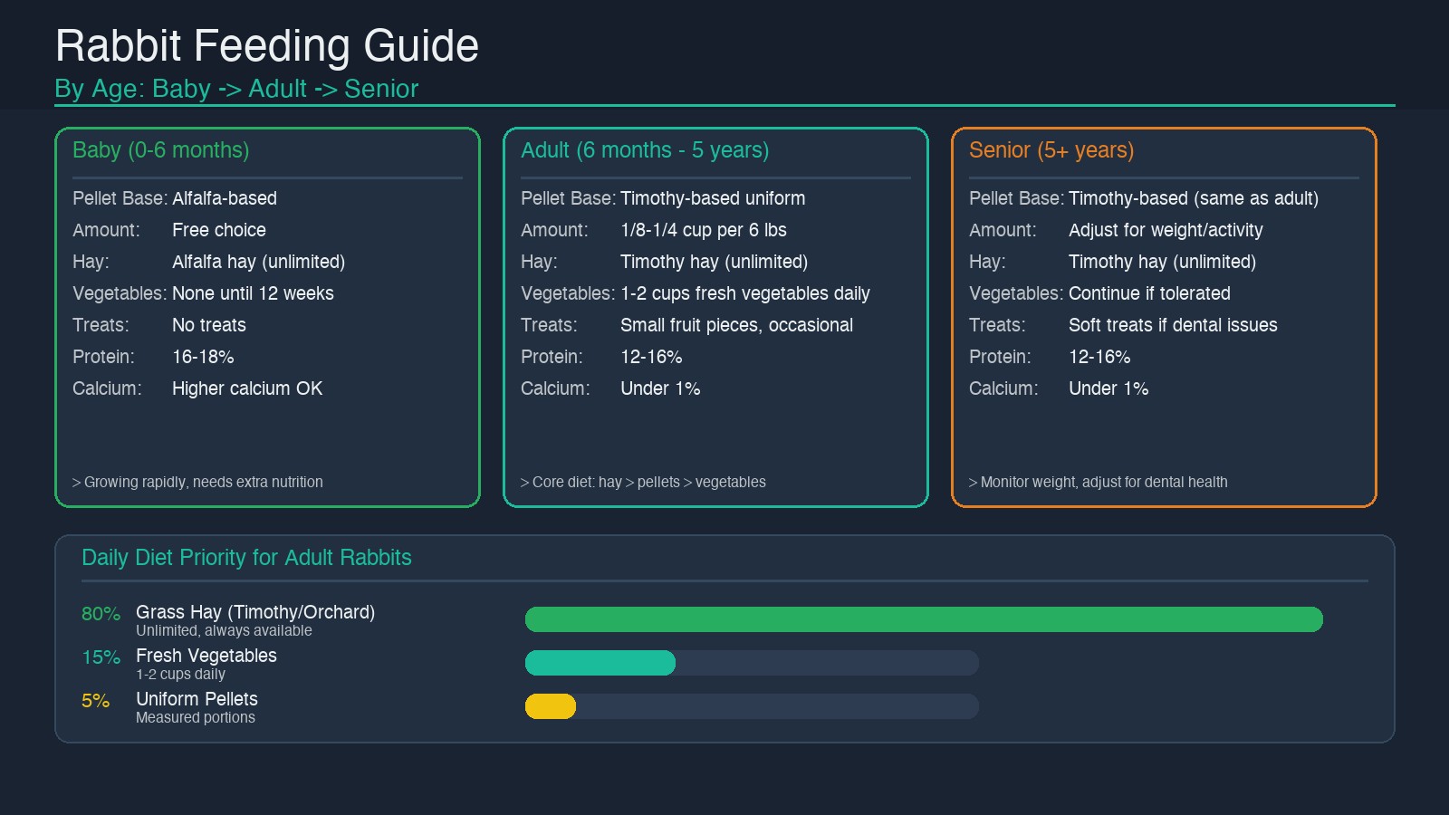 Rabbit feeding guide by age: baby, adult, and senior diet recommendations