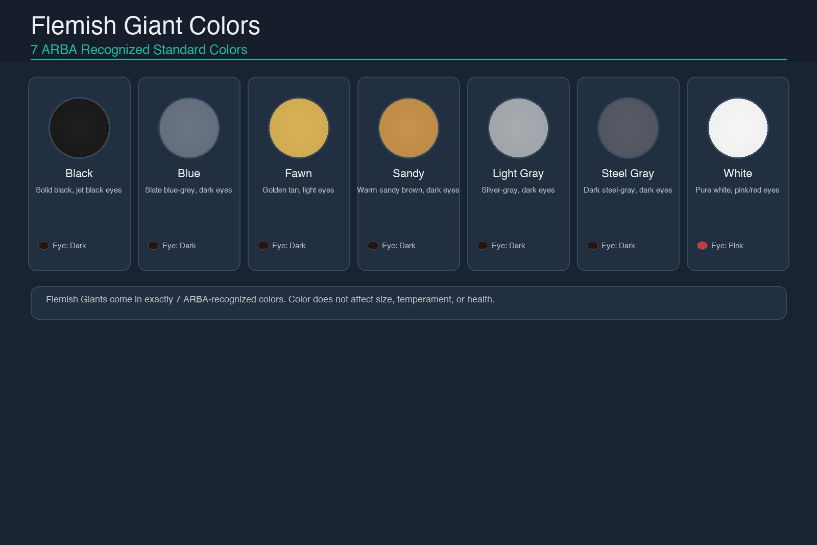 Flemish Giant rabbit coat colors showing all 7 ARBA-recognized varieties: Black, Blue, Fawn, Sandy, Light Gray, Steel Gray, and White