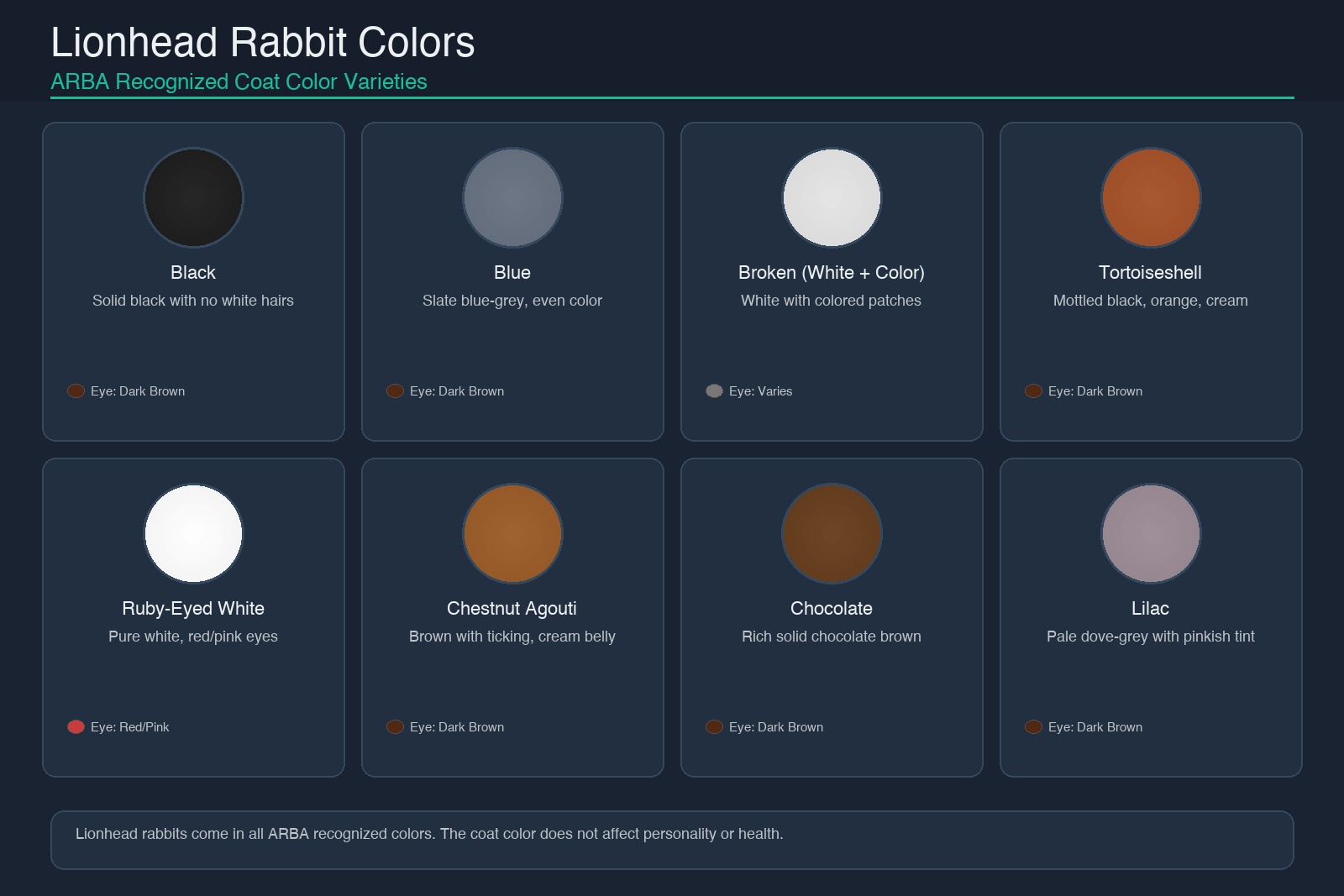 Lionhead rabbit coat color varieties showing 8 ARBA recognized colors including Black, Blue, Broken, Tortoiseshell, Ruby-Eyed White, Chestnut Agouti, Chocolate, and Lilac