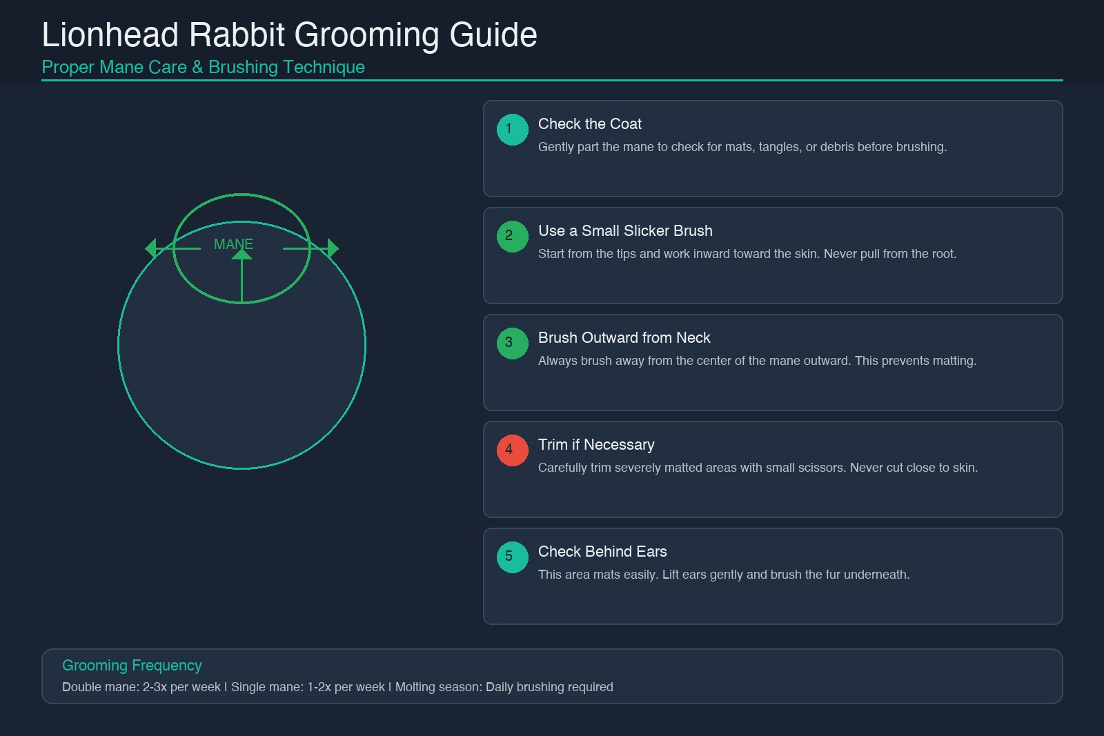 Lionhead rabbit grooming guide showing proper mane brushing technique: check coat, use slicker brush from tips inward, brush outward from neck, trim mats carefully, check behind ears