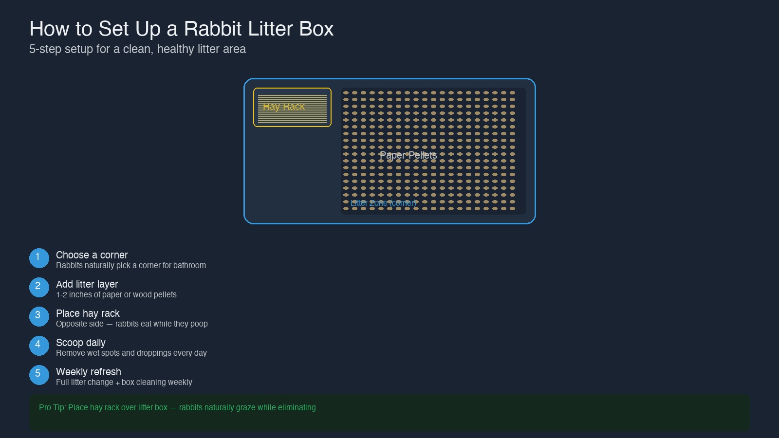 Rabbit litter box setup diagram showing hay rack placement, paper pellet litter zone, corner positioning, and 5-step setup guide for proper litter box training