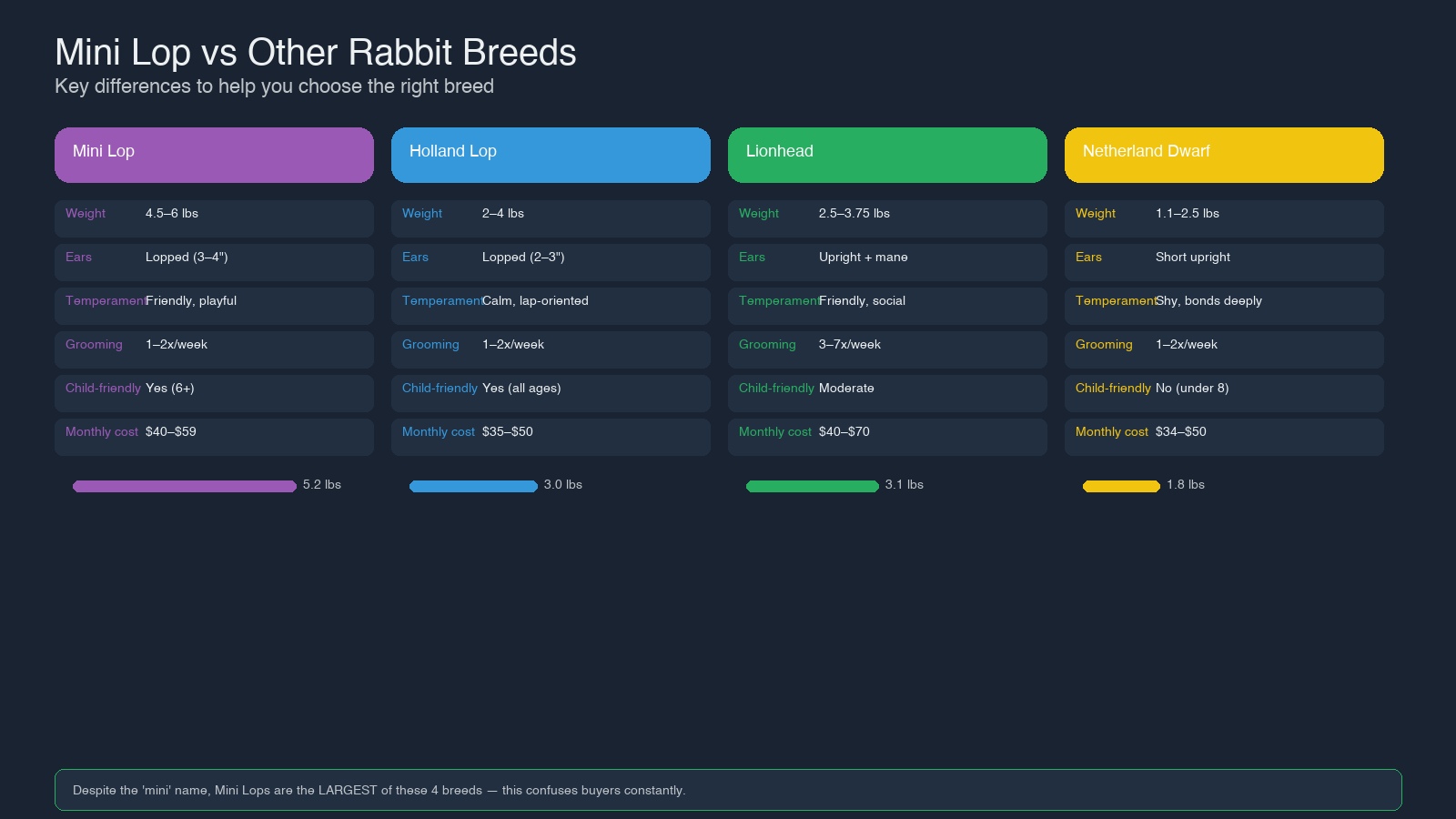 Mini Lop vs Holland Lop vs Lionhead vs Netherland Dwarf comparison