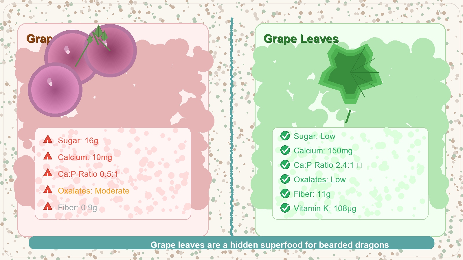 Grape fruit vs leaves comparison — nutritional differences for bearded dragons