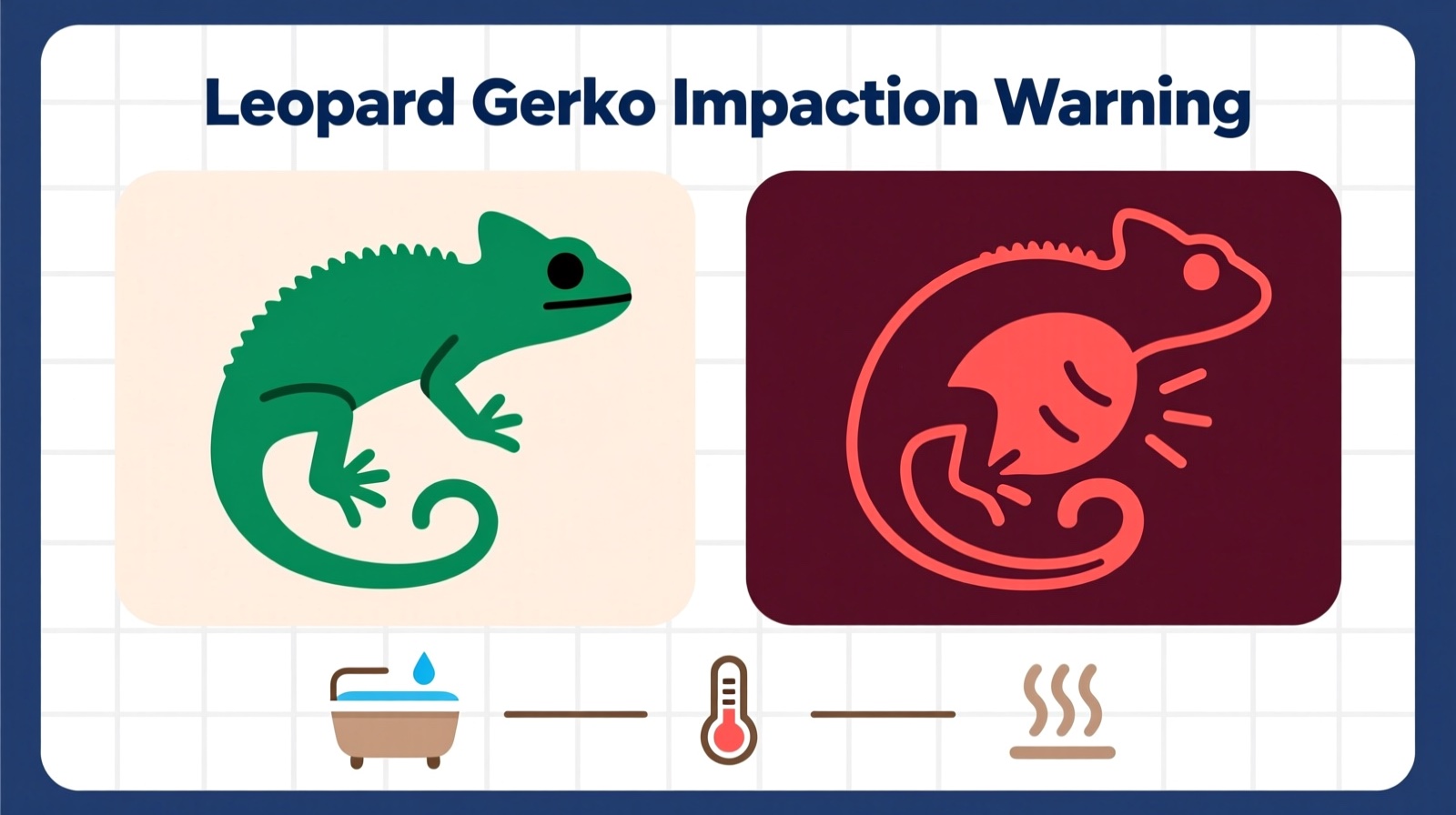 Leopard gecko showing impaction signs with warm soak setup