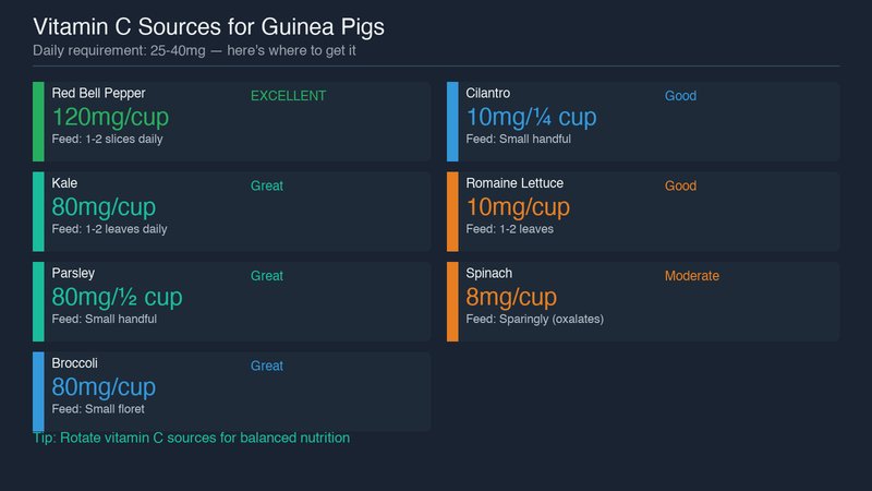 Guinea pig vitamin C sources chart showing best vegetable sources and their vitamin C content per serving