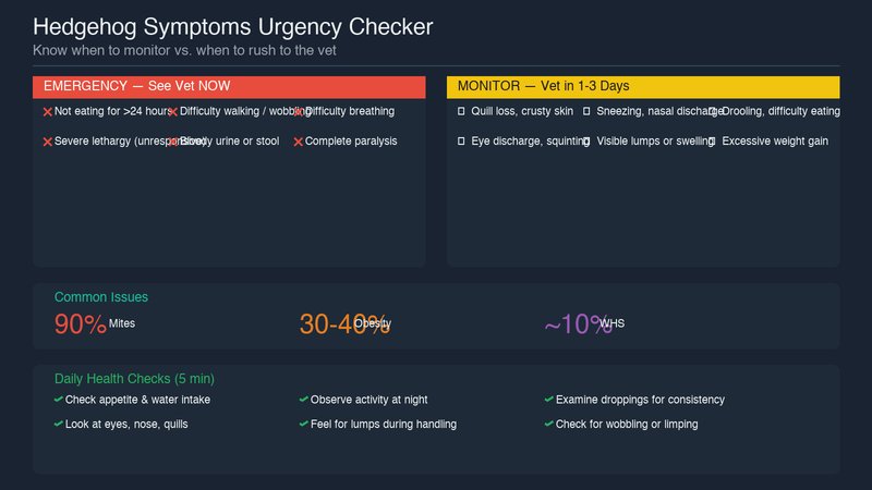 Hedgehog symptoms urgency checker showing emergency vs medium-priority symptoms and daily health checks